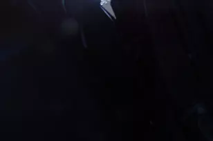 109 Hopkins Ct, Holland, PA 18966 - Photo 19