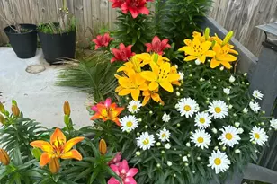 245 Trenton Rd, Fairless Hills, PA 19030 - Photo 39