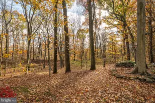 6950 Upper York Rd, New Hope, PA 18938 - Photo 49