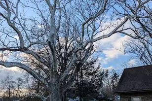 4936 Curly Hill Rd, Doylestown, PA 18902 - Photo 97