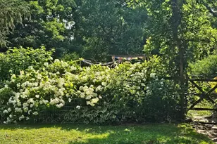 913 Old Bethlehem Rd, Quakertown, PA 18951 - Photo 23