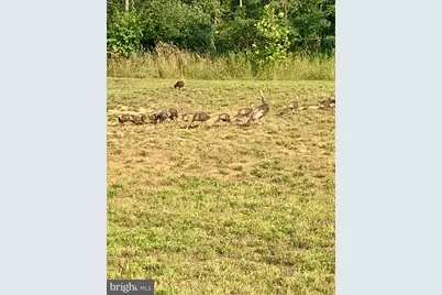 984 Pine Road, Carlisle, PA 17015 - Photo 57