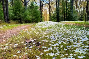 614 Graystones Jeras Rd Lot R-6, Albrightsville, PA 18210 - Photo 3