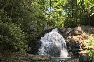 116 Snow Ridge Cir, Lake Harmony, PA 18624 - Photo 51