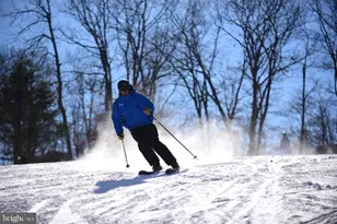 116 Snow Ridge Cir, Lake Harmony, PA 18624 - Photo 57