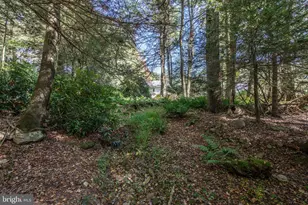 1733 State Route 903, Jim Thorpe, PA 18229 - Photo 43