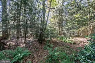 1733 State Route 903, Jim Thorpe, PA 18229 - Photo 41