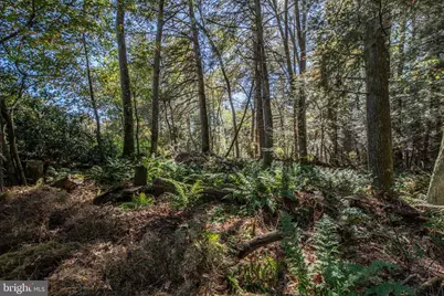 1733 State Route 903, Jim Thorpe, PA 18229 - Photo 39