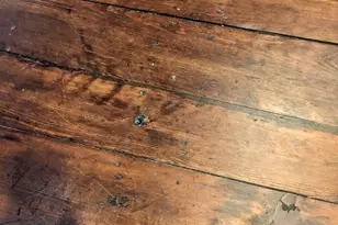 4 Nursery Rd, Berwick, PA 18603 - Photo 11