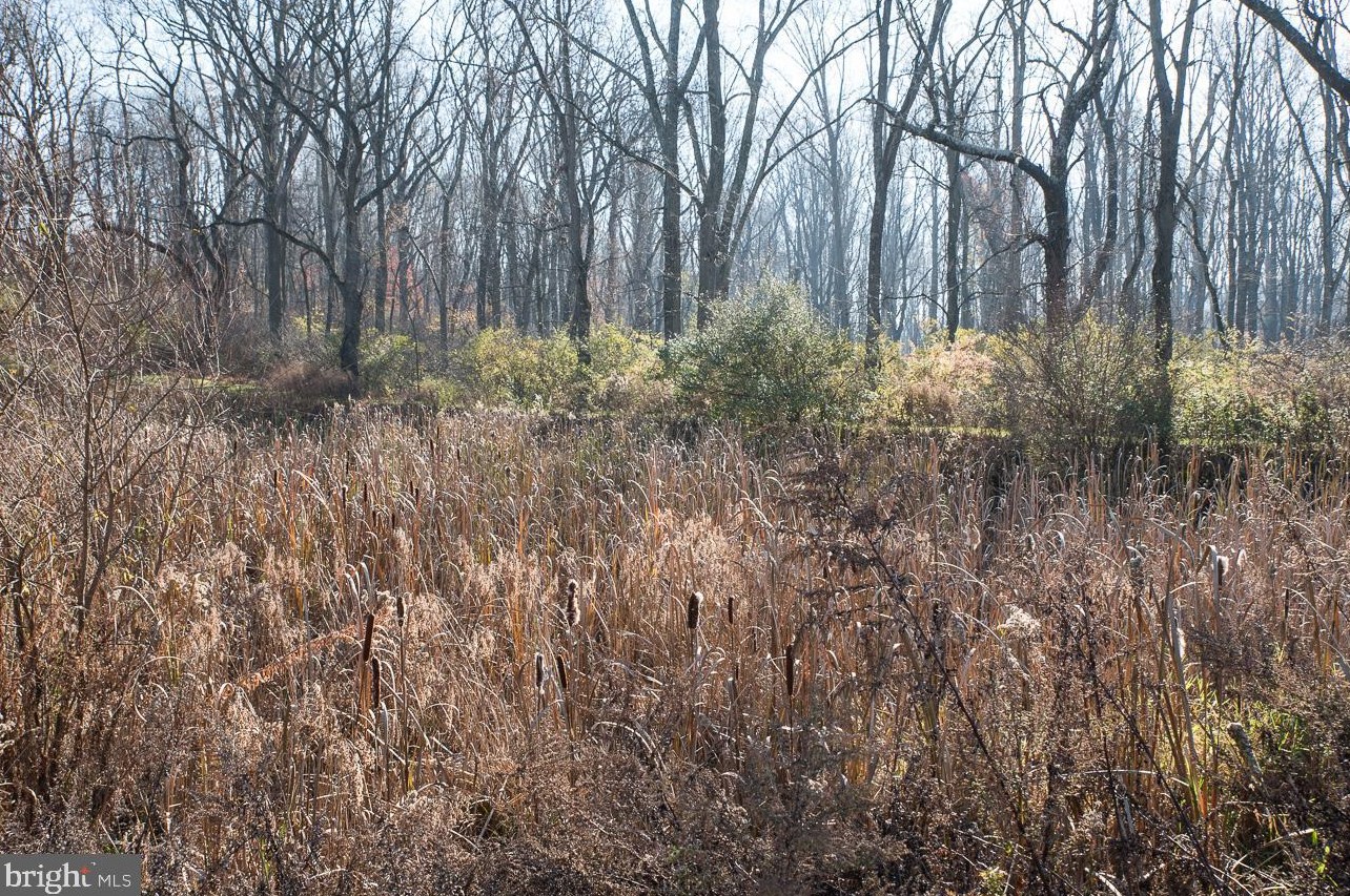 336 Kemper Dr, Honey Brook PA  19344 exterior