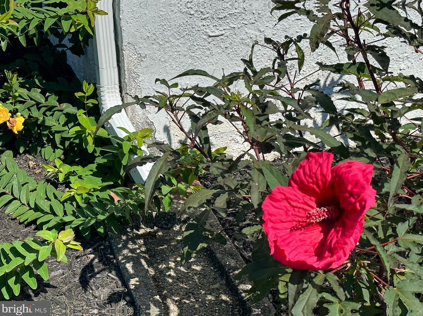 1580 Broadrun Rd, Downingtown PA  19335-3585 exterior