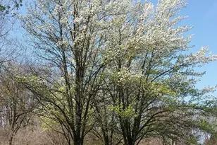 2 Farron Dr, Chadds Ford, PA 19317 - Photo 79