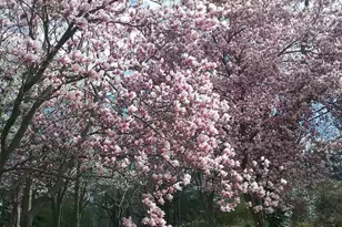 2 Farron Dr, Chadds Ford, PA 19317 - Photo 73