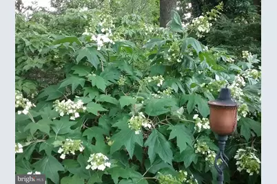 2 Farron Drive, Chadds Ford, PA 19317 - Photo 75