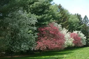 2 Farron Dr, Chadds Ford, PA 19317 - Photo 71