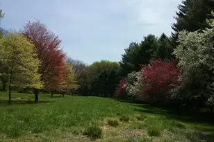 2 Farron Dr, Chadds Ford, PA 19317 - Photo 69