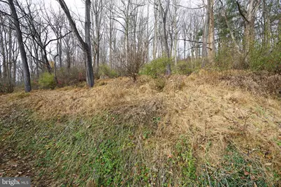 329 Laurel Woods Road, Landenberg, PA 19350 - Photo 43