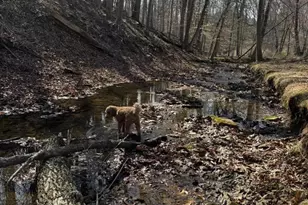 904 Roundelay Ln, West Chester, PA 19382 - Photo 51