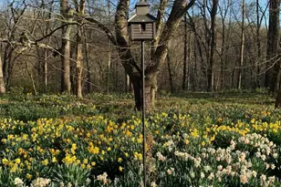 904 Roundelay Ln, West Chester, PA 19382 - Photo 55