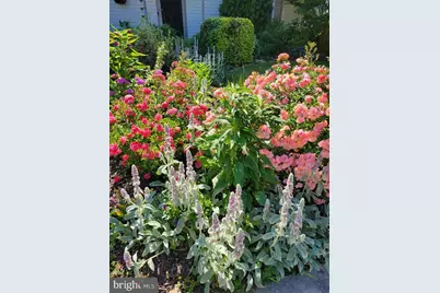 219 Delaware Avenue, Oxford, PA 19363 - Photo 53