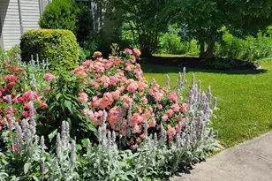 219 Delaware Ave, Oxford, PA 19363 - Photo 51