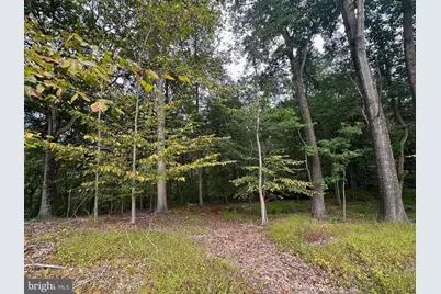 547 Webb Rd - Md, Chadds Ford, PA 19317 - Photo 41