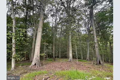 547 Webb Rd - Md, Chadds Ford, PA 19317 - Photo 43