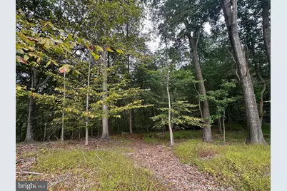 547 Webb Rd -Dd, Chadds Ford, PA 19317 - Photo 95