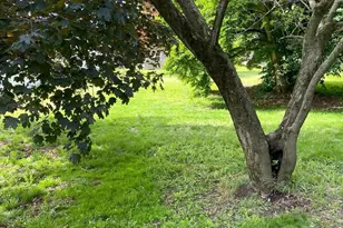 7097 Union Deposit Rd, Hummelstown, PA 17036 - Photo 19