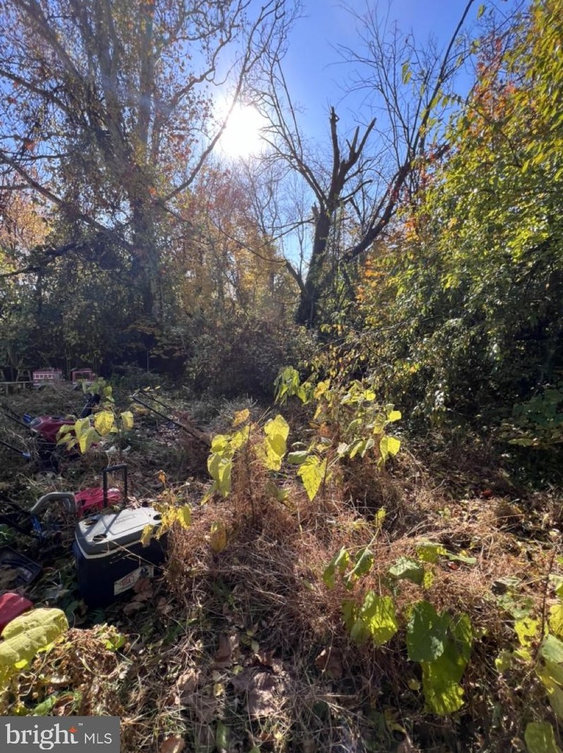 1334 Townsend St, Chester PA  19013-2441 exterior