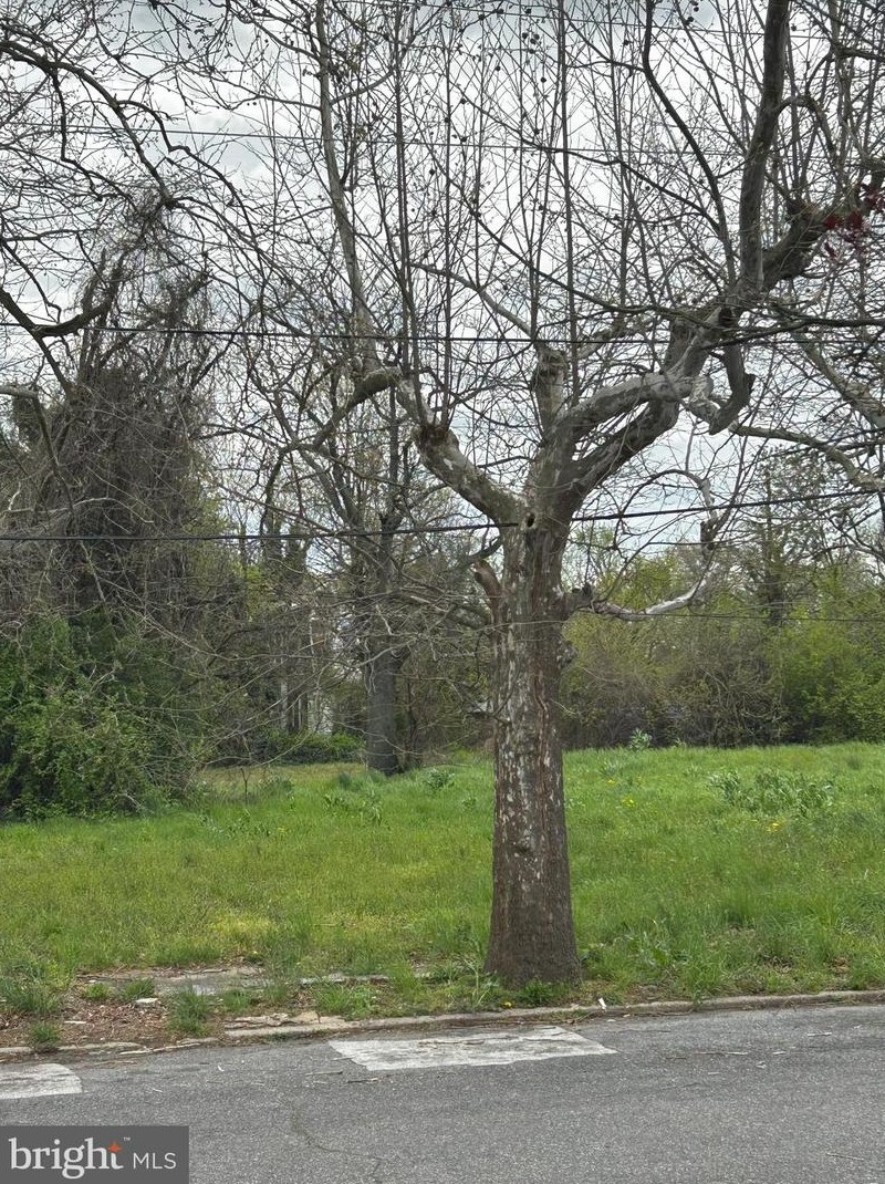 1704 11 St, Chester PA 19013-2922 exterior