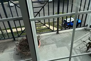 4310 Lydia Hollow Dr, Glen Mills, PA 19342 - Photo 11