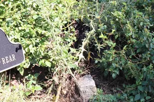 2734 Old Cedar Grove Rd, Broomall, PA 19008 - Photo 39