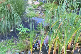 584 S Heilbron Dr, Media, PA 19063 - Photo 5