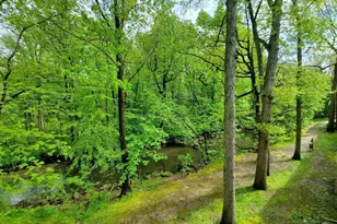 100 E Glenolden Ave, Glenolden, PA 19036 - Photo 13