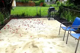 308 Clifton, Collingdale, PA 19023 - Photo 33