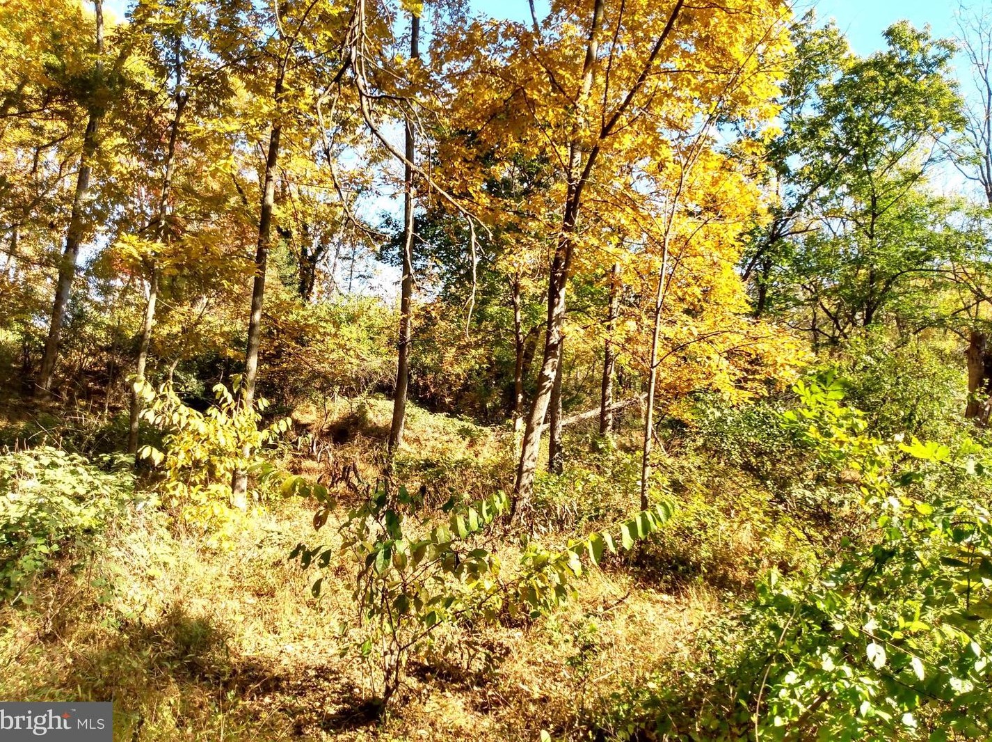 676 Siloam Rd, Chambersburg PA  17201-7809 exterior