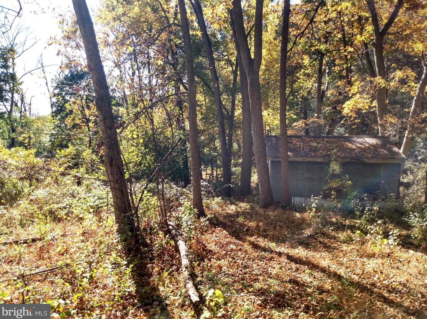 676 Siloam Rd, Chambersburg PA  17201-7809 exterior