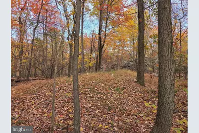 8620 Monns Gap Road, Waynesboro, PA 17268 - Photo 59