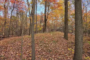 8620 Monns Gap Rd, Waynesboro, PA 17268 - Photo 59