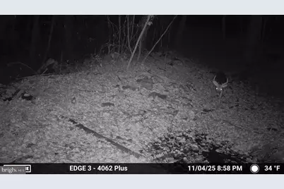 8620 Monns Gap Road, Waynesboro, PA 17268 - Photo 79