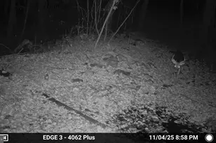 8620 Monns Gap Rd, Waynesboro, PA 17268 - Photo 79