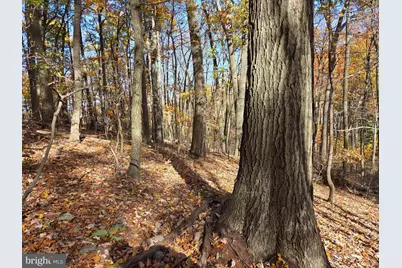 8620 Monns Gap Road, Waynesboro, PA 17268 - Photo 83