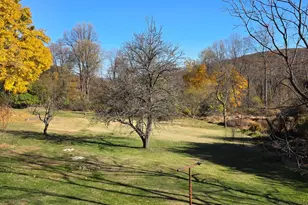 13608 Maryland Ave, Blue Ridge Summit, PA 17214 - Photo 57