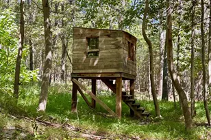 6805 Black Bear Rd, Needmore, PA 17238 - Photo 25