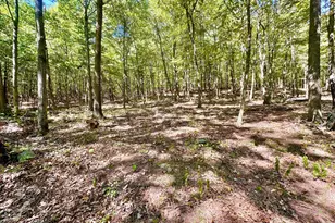 6805 Black Bear Rd, Needmore, PA 17238 - Photo 27