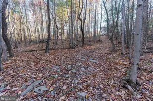 370 Kalers Loft Ln, Crystal Spring, PA 15536 - Photo 39