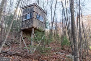 370 Kalers Loft Ln, Crystal Spring, PA 15536 - Photo 43
