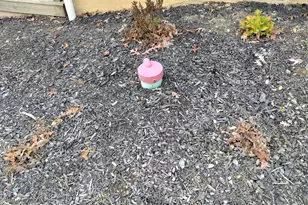 551 Smith Rd, Mc Alisterville, PA 17049 - Photo 15