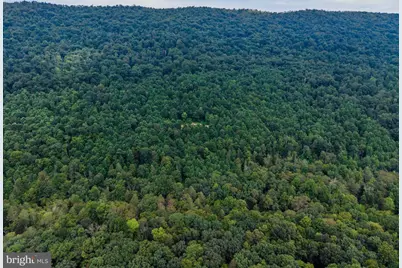 0 Vincent Tram Rd, Mifflintown, PA 17059 - Photo 13